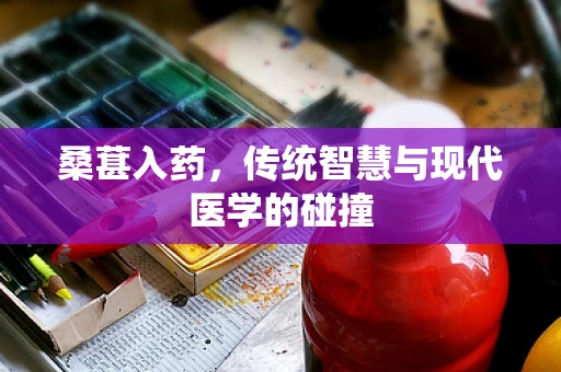 桑葚入药，传统智慧与现代医学的碰撞