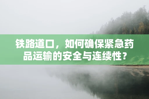 铁路道口，如何确保紧急药品运输的安全与连续性？