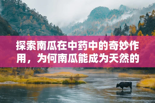 探索南瓜在中药中的奇妙作用，为何南瓜能成为天然的免疫增强剂？