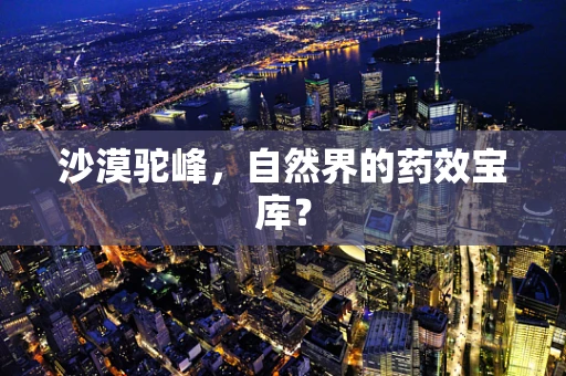 沙漠驼峰，自然界的药效宝库？