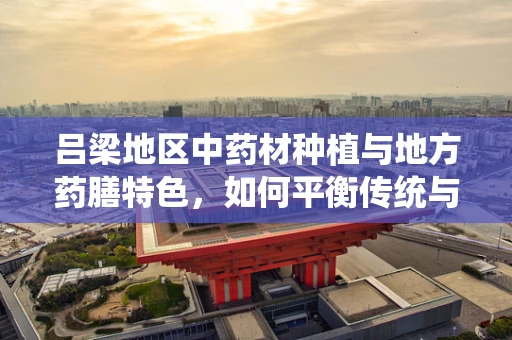 吕梁地区中药材种植与地方药膳特色，如何平衡传统与现代？