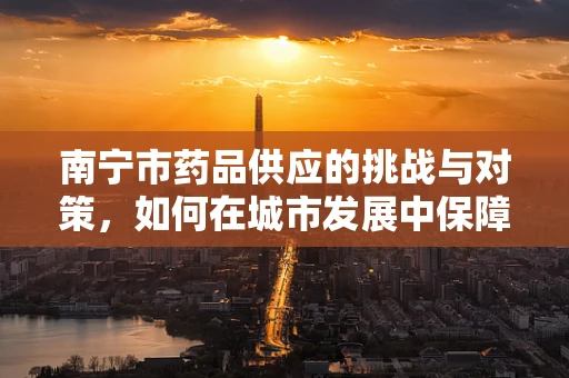 南宁市药品供应的挑战与对策，如何在城市发展中保障药物供应？