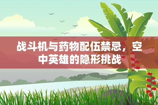 战斗机与药物配伍禁忌，空中英雄的隐形挑战