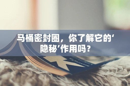 马桶密封圈，你了解它的‘隐秘’作用吗？