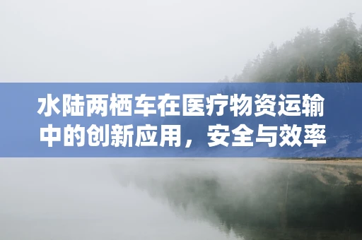 水陆两栖车在医疗物资运输中的创新应用，安全与效率的双重挑战？