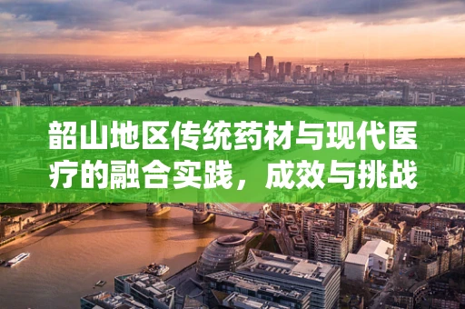 韶山地区传统药材与现代医疗的融合实践，成效与挑战何在？