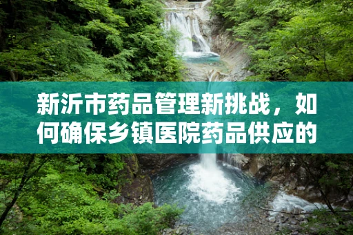 新沂市药品管理新挑战，如何确保乡镇医院药品供应的稳定与安全？