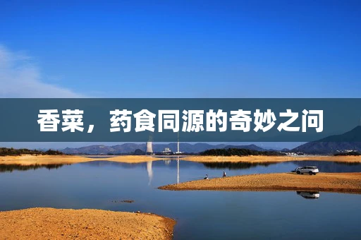 香菜，药食同源的奇妙之问