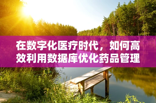 在数字化医疗时代，如何高效利用数据库优化药品管理流程？