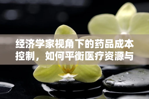 经济学家视角下的药品成本控制，如何平衡医疗资源与患者负担？