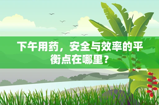下午用药，安全与效率的平衡点在哪里？
