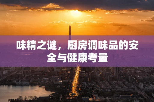 味精之谜，厨房调味品的安全与健康考量