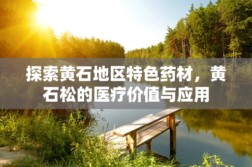 探索黄石地区特色药材，黄石松的医疗价值与应用