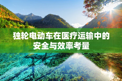 独轮电动车在医疗运输中的安全与效率考量