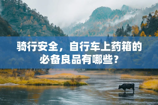 骑行安全，自行车上药箱的必备良品有哪些？