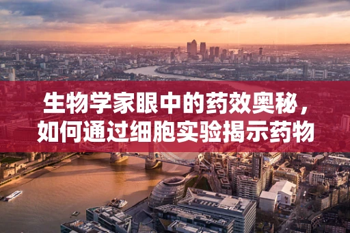生物学家眼中的药效奥秘，如何通过细胞实验揭示药物作用机制？