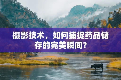 摄影技术，如何捕捉药品储存的完美瞬间？