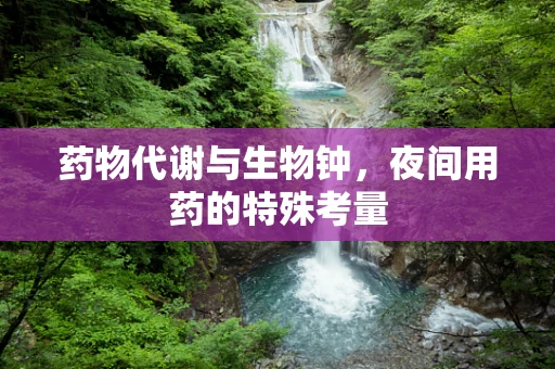 药物代谢与生物钟，夜间用药的特殊考量