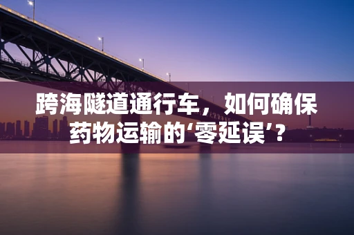 跨海隧道通行车，如何确保药物运输的‘零延误’？