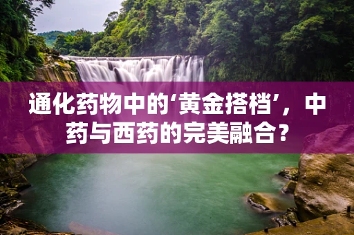通化药物中的‘黄金搭档’，中药与西药的完美融合？