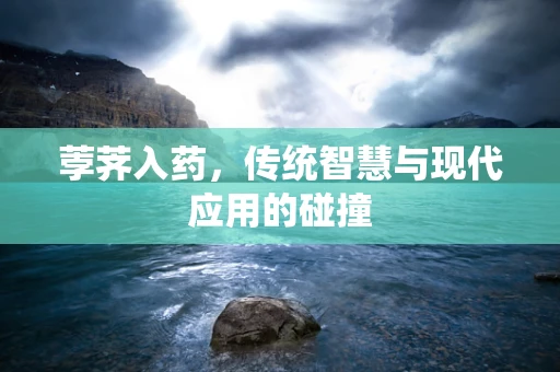 荸荠入药，传统智慧与现代应用的碰撞