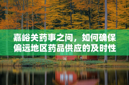 嘉峪关药事之问，如何确保偏远地区药品供应的及时性与安全性？