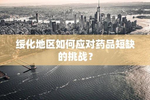 绥化地区如何应对药品短缺的挑战？