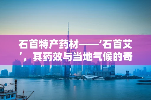 石首特产药材——‘石首艾’，其药效与当地气候的奇妙关系