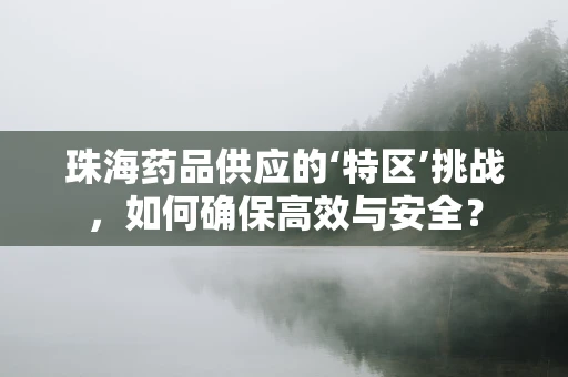 珠海药品供应的‘特区’挑战，如何确保高效与安全？