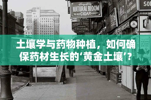 土壤学与药物种植，如何确保药材生长的‘黄金土壤’？