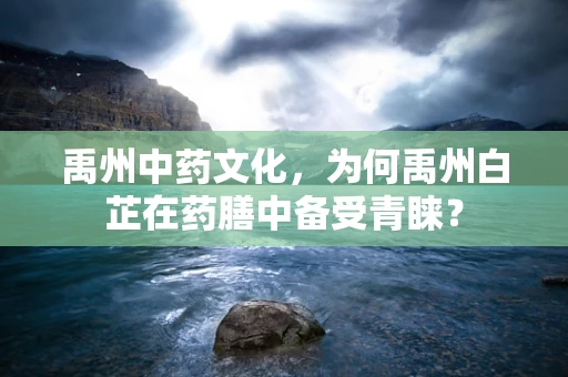 禹州中药文化，为何禹州白芷在药膳中备受青睐？