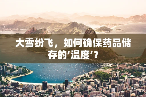 大雪纷飞，如何确保药品储存的‘温度’？