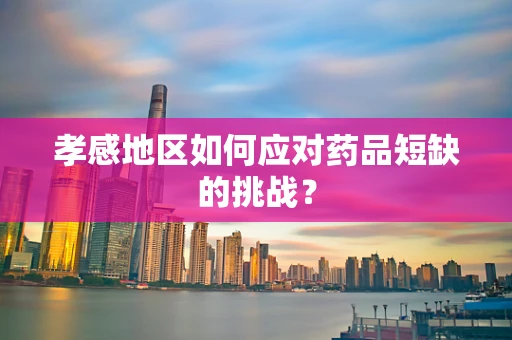 孝感地区如何应对药品短缺的挑战？