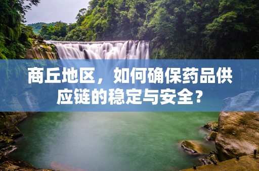 商丘地区，如何确保药品供应链的稳定与安全？