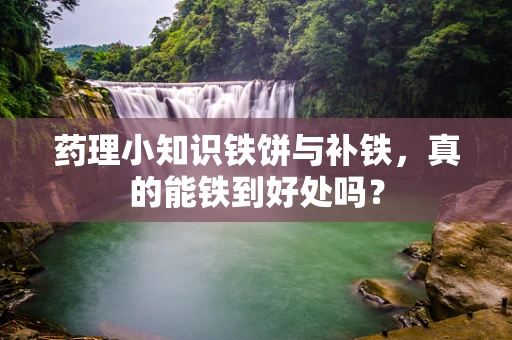 药理小知识铁饼与补铁，真的能铁到好处吗？