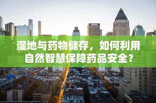 湿地与药物储存，如何利用自然智慧保障药品安全？