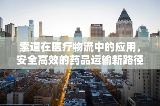 索道在医疗物流中的应用，安全高效的药品运输新路径？