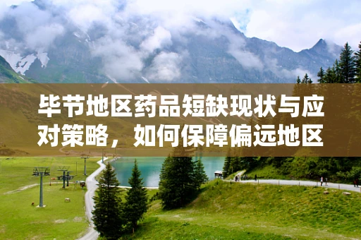 毕节地区药品短缺现状与应对策略，如何保障偏远地区的医疗资源均衡？