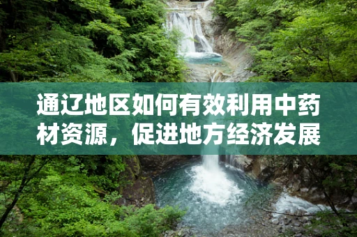 通辽地区如何有效利用中药材资源，促进地方经济发展？
