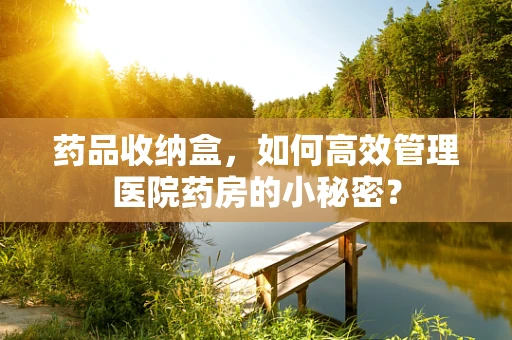 药品收纳盒，如何高效管理医院药房的小秘密？