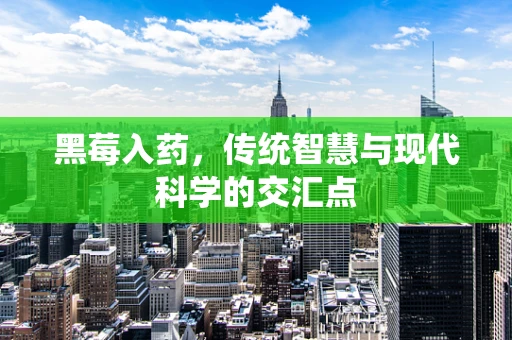 黑莓入药，传统智慧与现代科学的交汇点