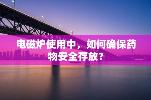 电磁炉使用中，如何确保药物安全存放？