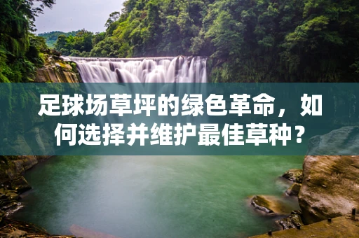 足球场草坪的绿色革命，如何选择并维护最佳草种？
