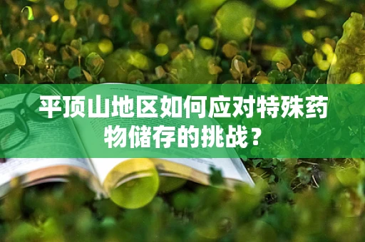 平顶山地区如何应对特殊药物储存的挑战？