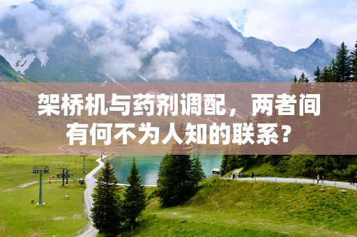 架桥机与药剂调配，两者间有何不为人知的联系？