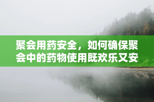 聚会用药安全，如何确保聚会中的药物使用既欢乐又安心？