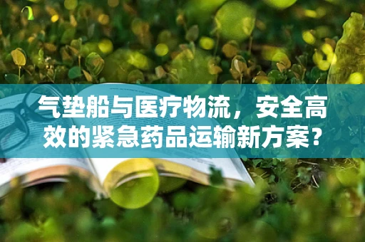 气垫船与医疗物流，安全高效的紧急药品运输新方案？