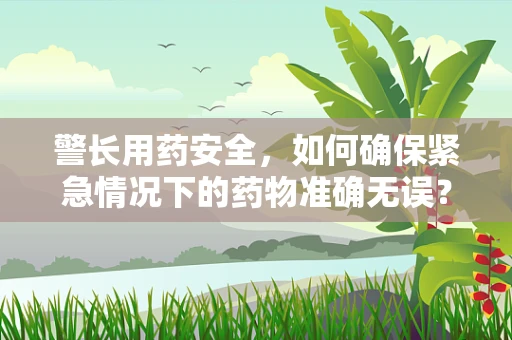 警长用药安全，如何确保紧急情况下的药物准确无误？