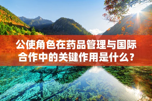 公使角色在药品管理与国际合作中的关键作用是什么？