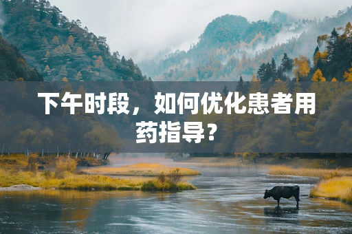 下午时段，如何优化患者用药指导？